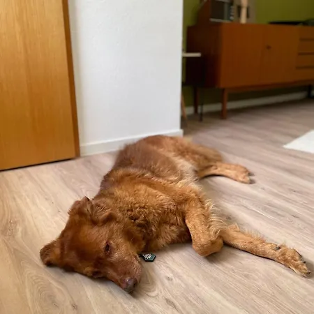 Gastwerk Waldfrieden B&B