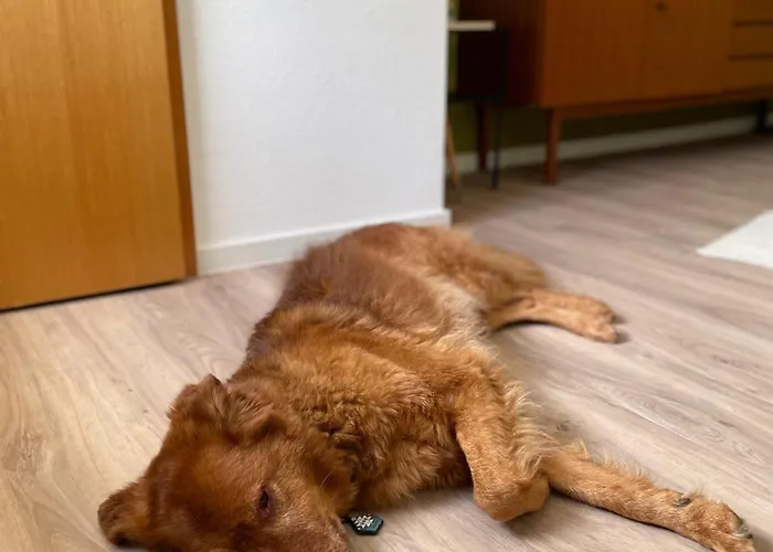 Gastwerk Waldfrieden B&B